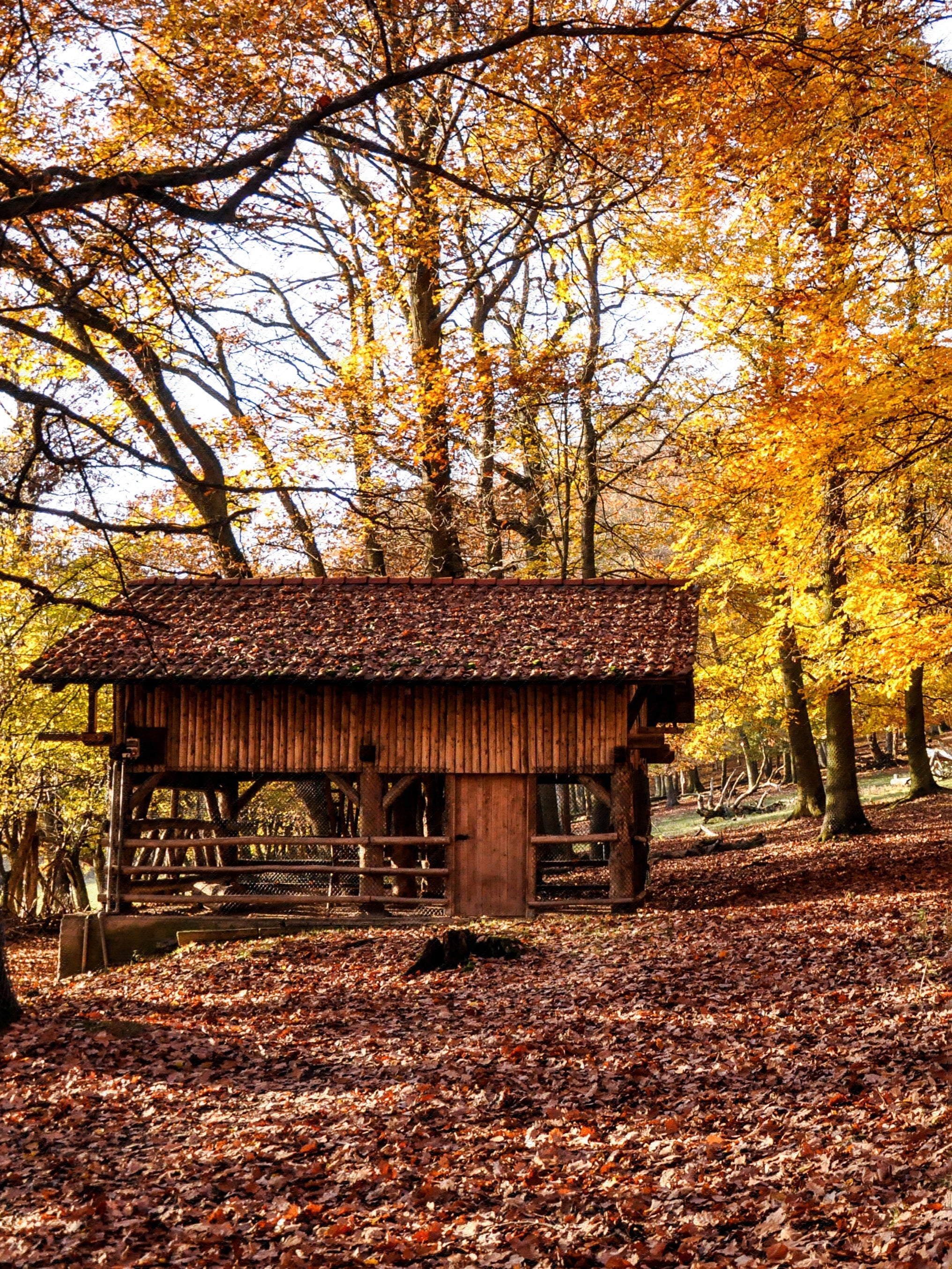 The Rustic Cabin – 86 Vintage