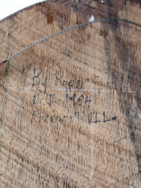 vintage wood duck painting on wood