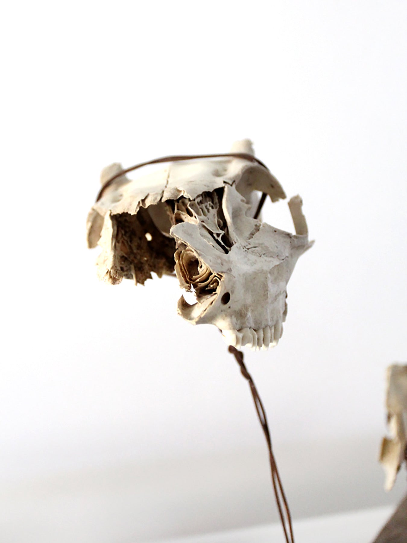 1920s folk art bone sculpture