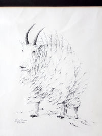 vintage framed mountain goat drawing