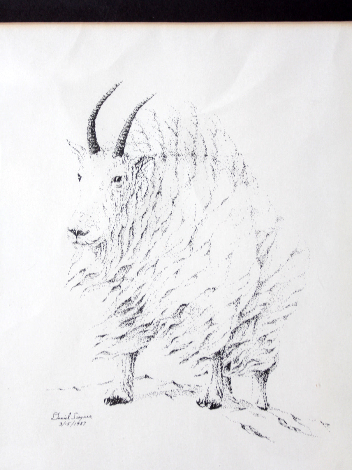 vintage framed mountain goat drawing