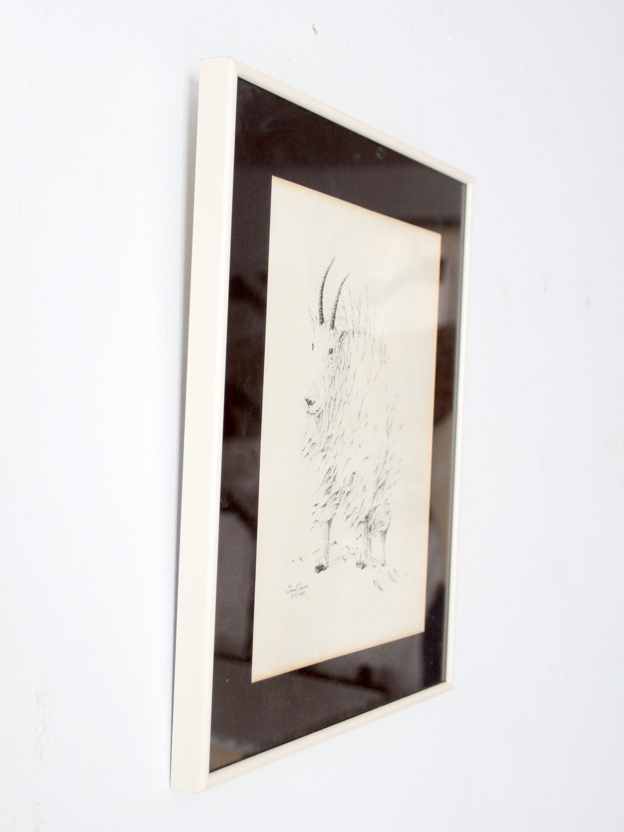 vintage framed mountain goat drawing