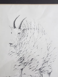 vintage framed mountain goat drawing