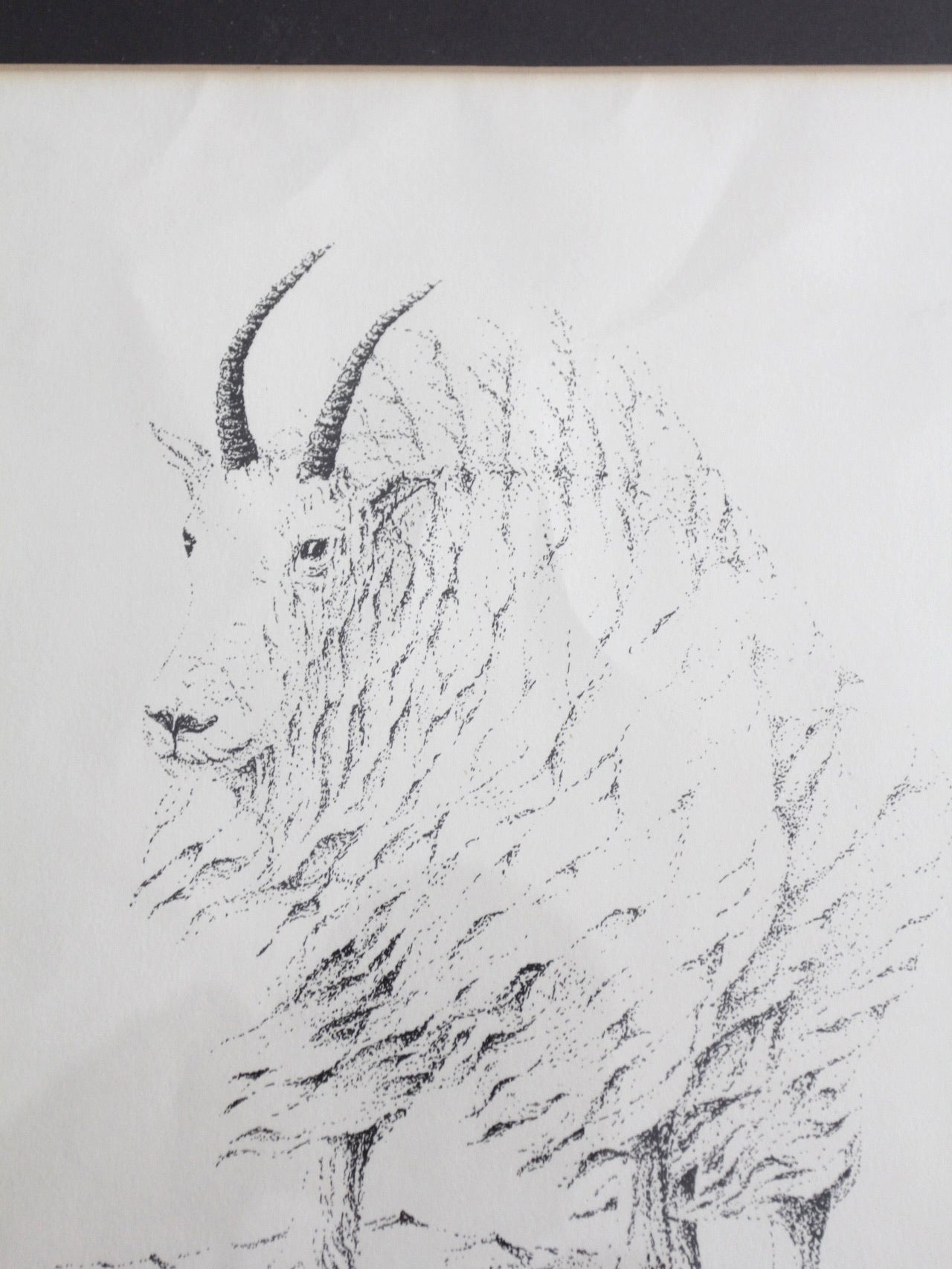 vintage framed mountain goat drawing