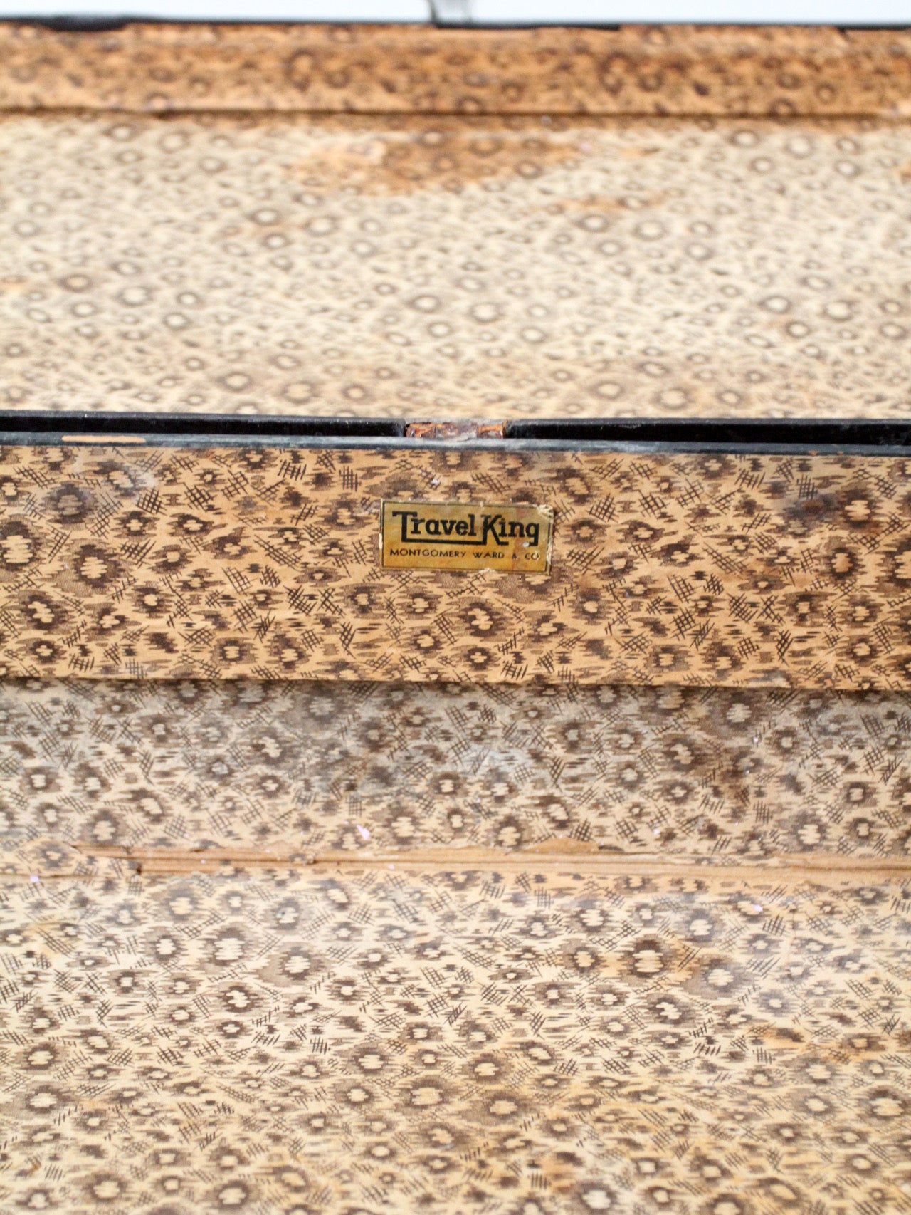 vintage Travel King Montgomery Ward suitcase