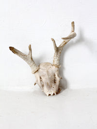 vintage small animal skull cap