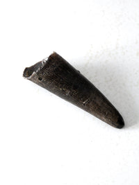 vintage black bull cow horn