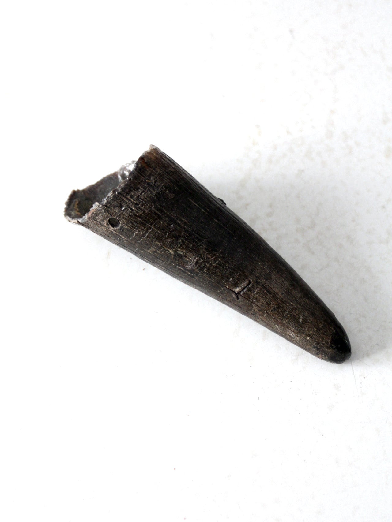 vintage black bull cow horn