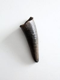 vintage black bull cow horn