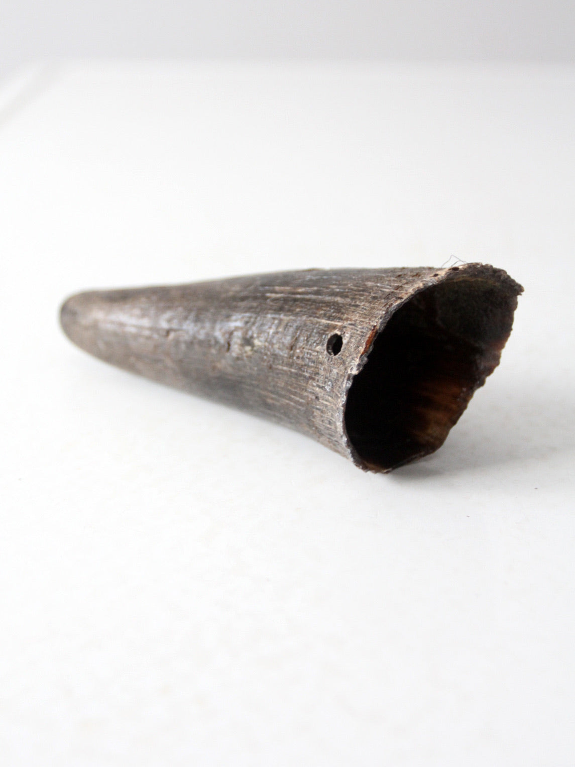 vintage black bull cow horn