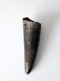 vintage black bull cow horn