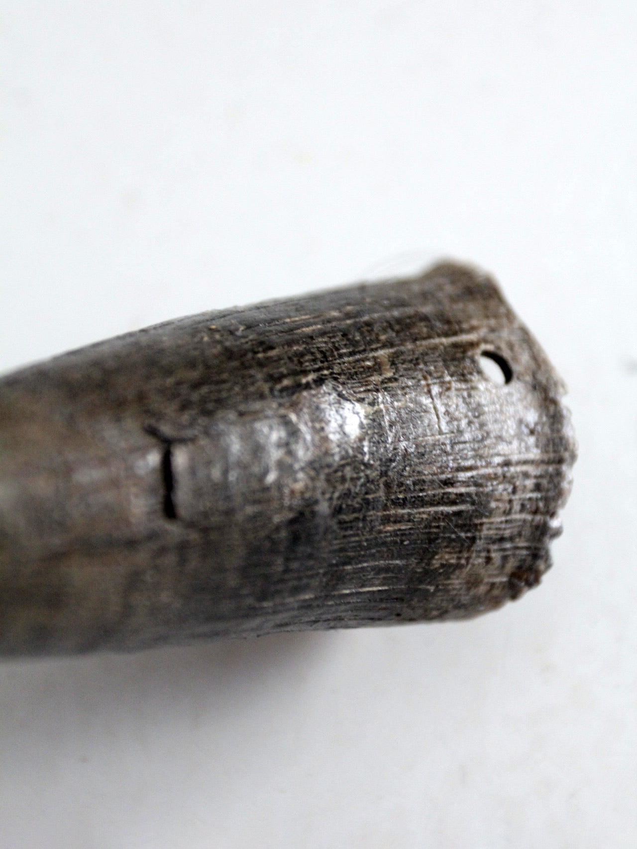 vintage black bull cow horn