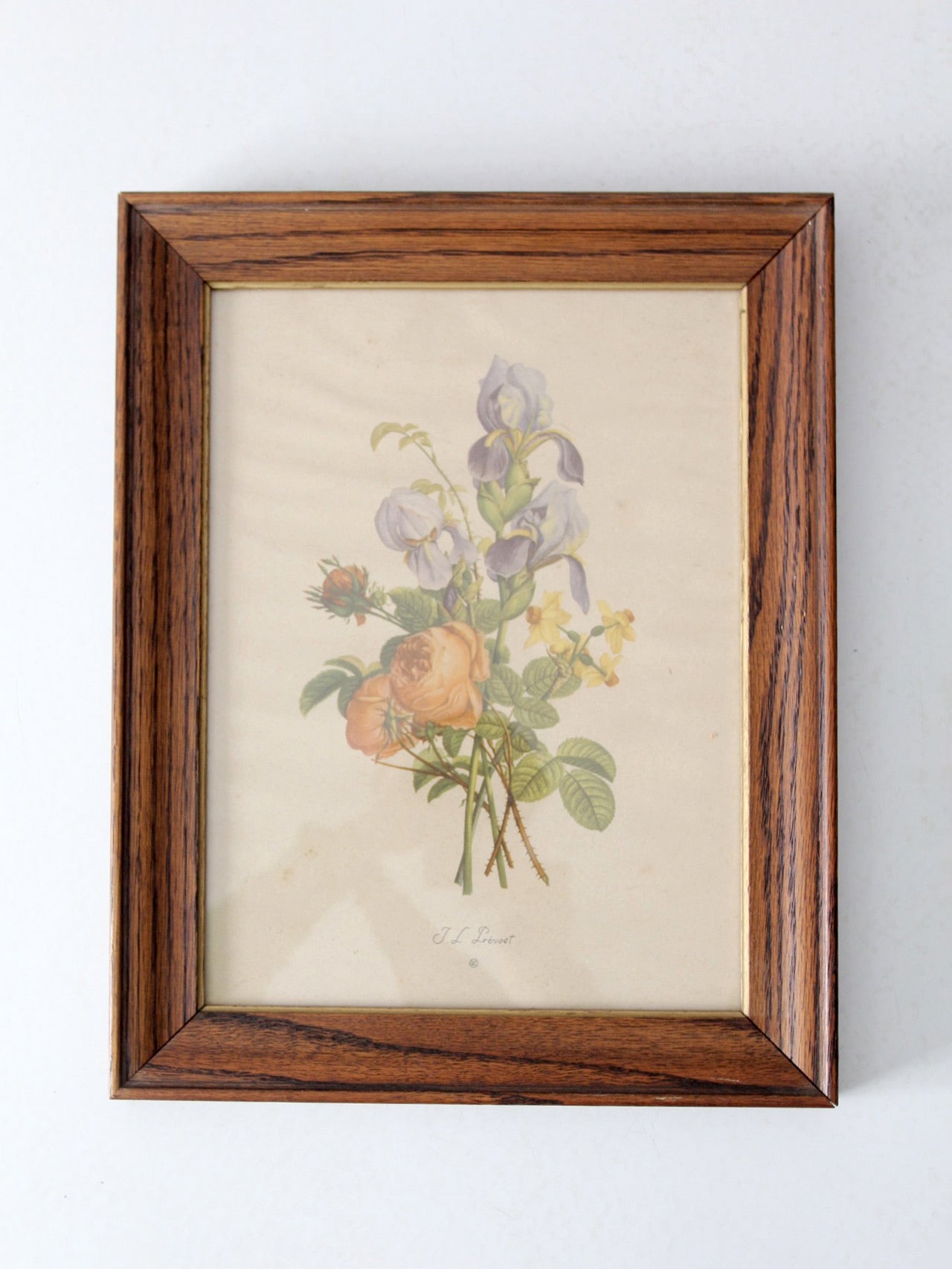 vintage framed botanical prints by JL Prevost Set
