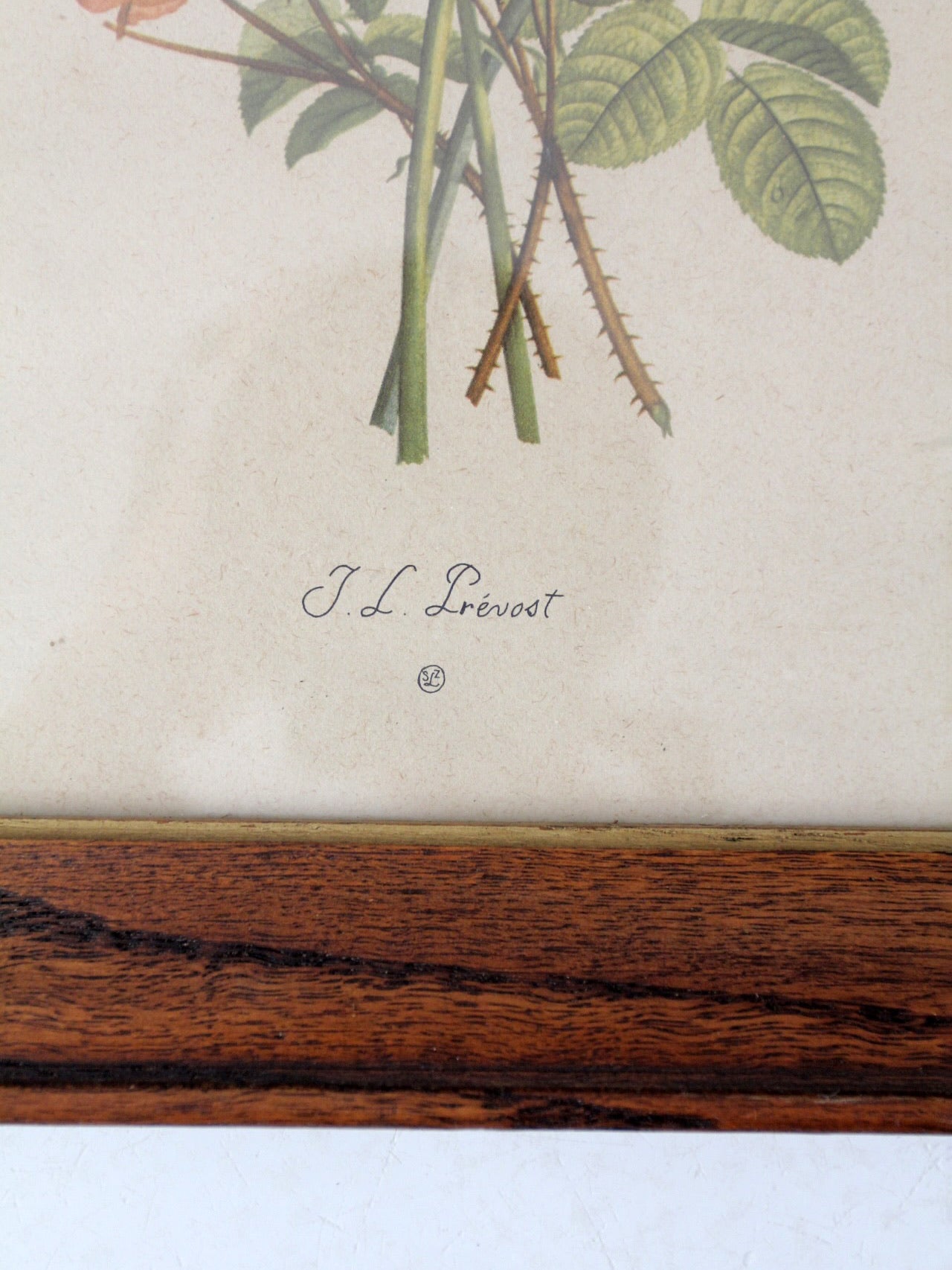 vintage framed botanical prints by JL Prevost Set