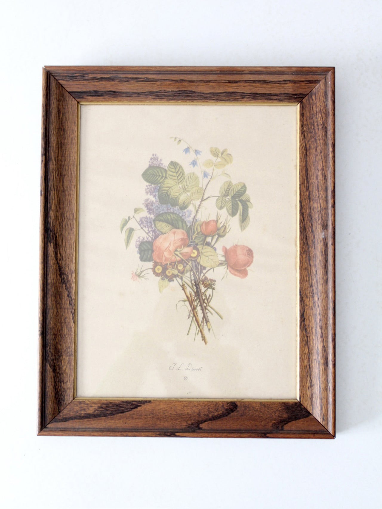 vintage framed botanical prints by JL Prevost Set
