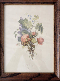 vintage framed botanical prints by JL Prevost Set