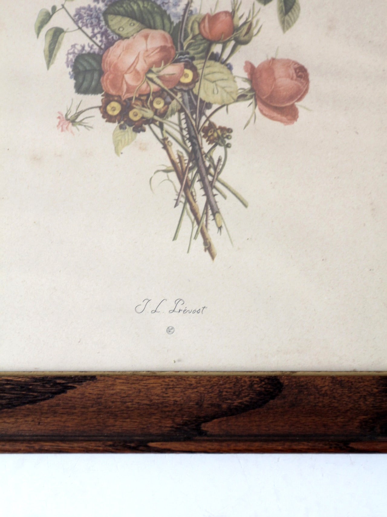 vintage framed botanical prints by JL Prevost Set