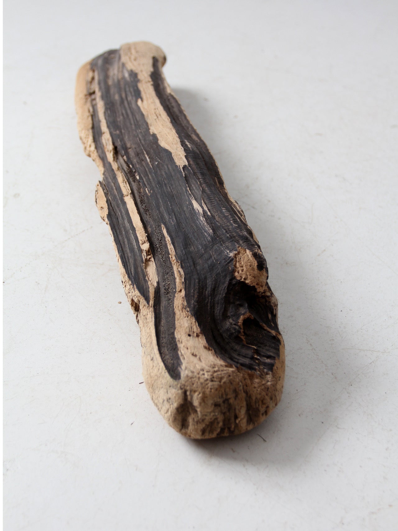 vintage driftwood branch