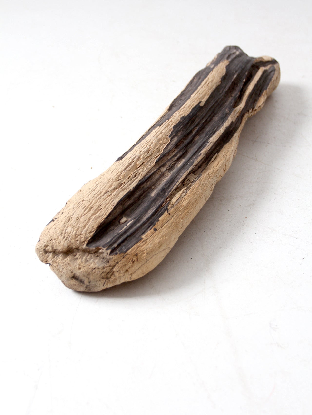 vintage driftwood branch