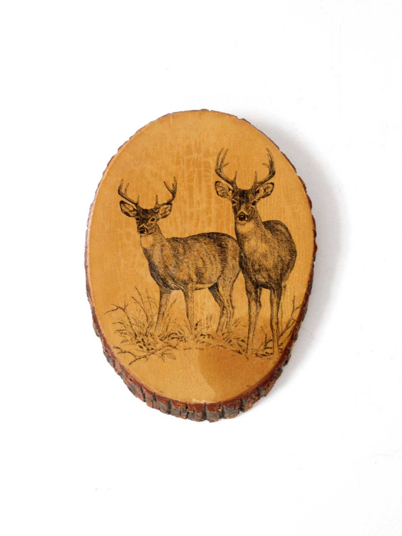 vintage deer wall art on wood slab