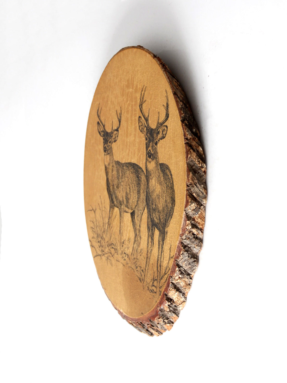 vintage deer wall art on wood slab