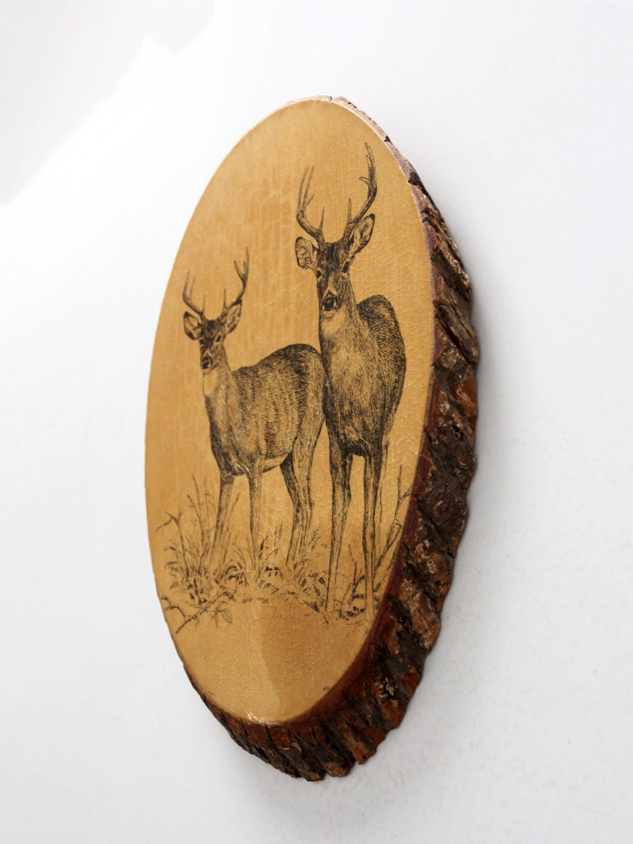 vintage deer wall art on wood slab