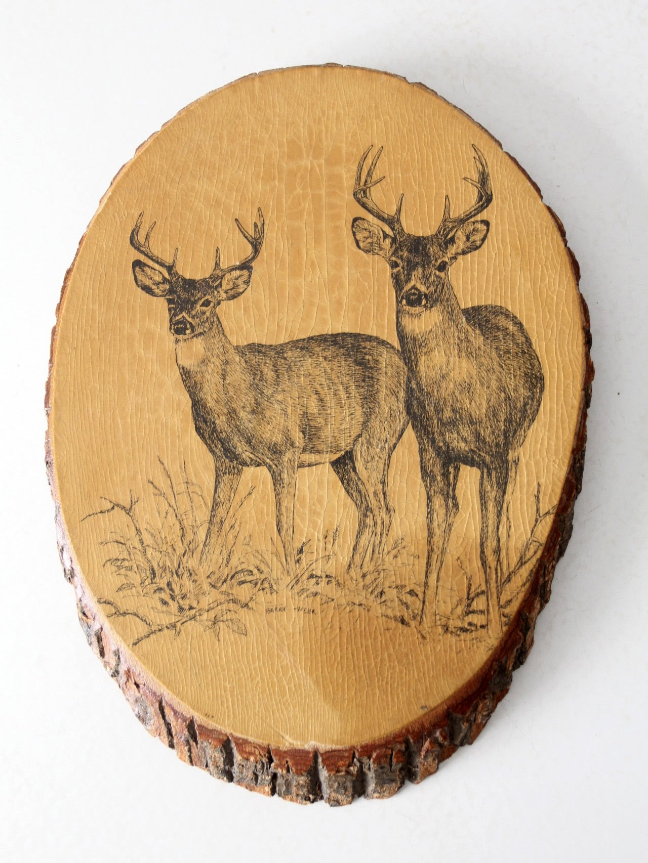 vintage deer wall art on wood slab