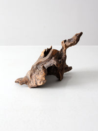 organic driftwood sculpture