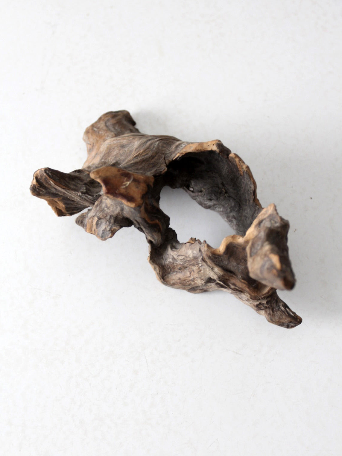 organic driftwood sculpture