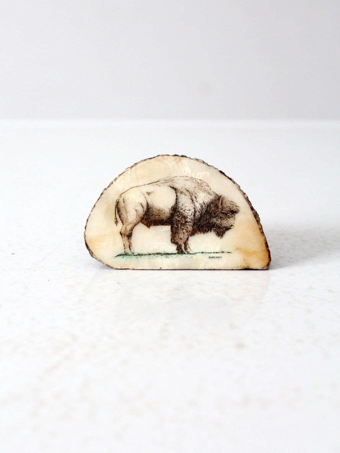 vintage bison painting