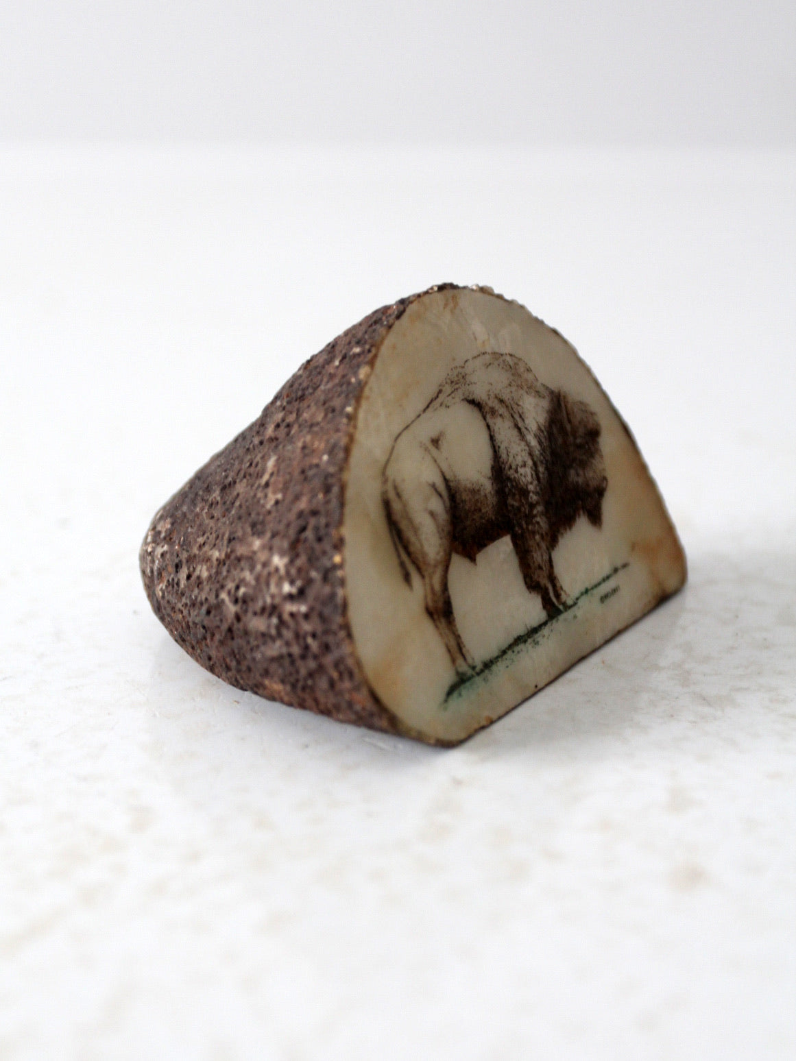 vintage bison painting