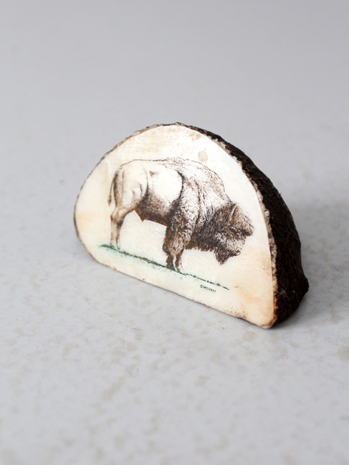 vintage bison painting