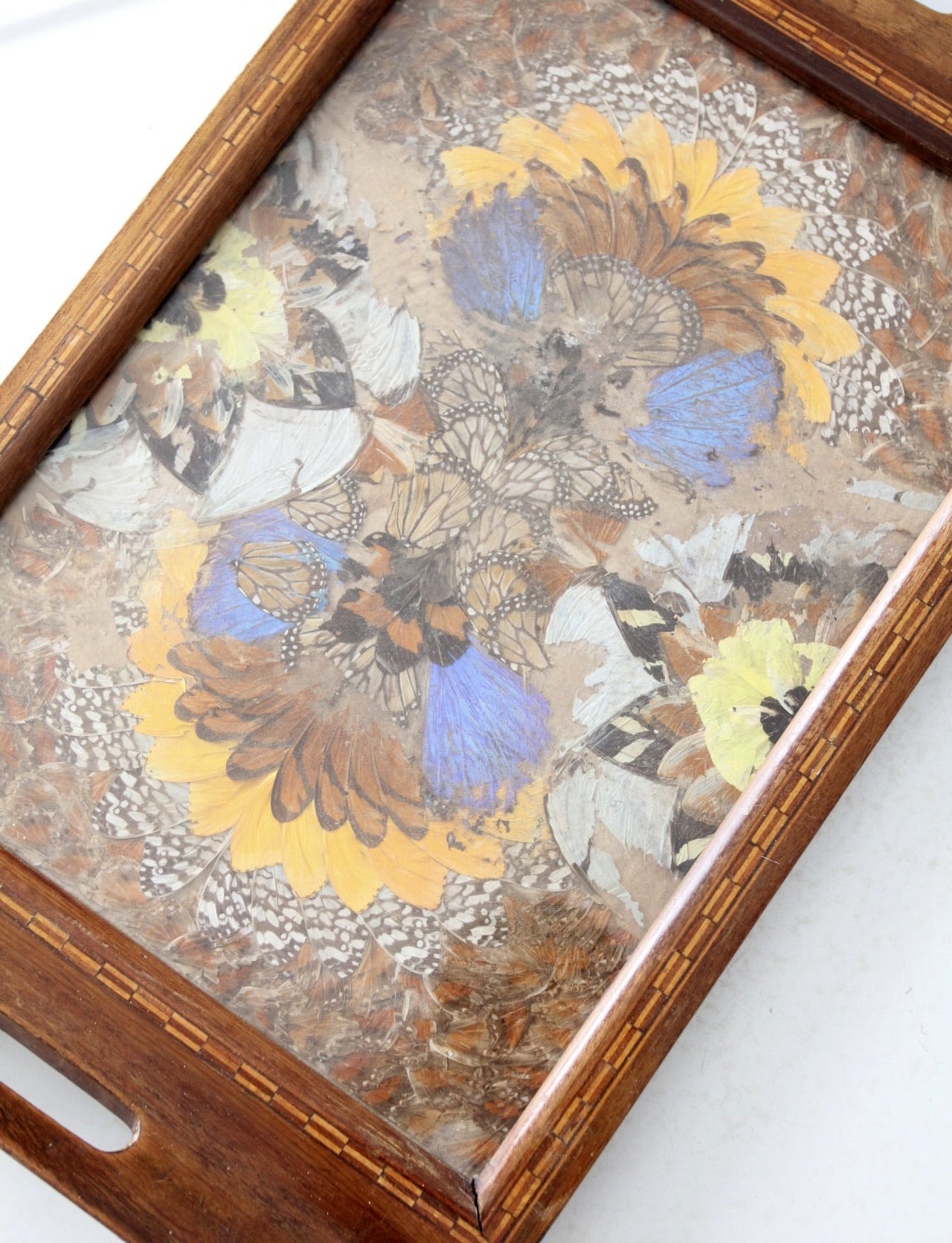 vintage art deco Brazilian butterfly tray circa 1940