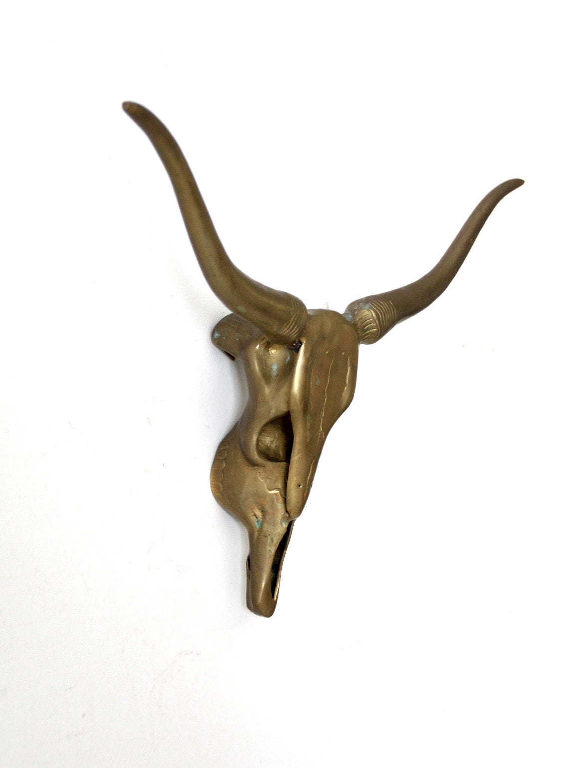 vintage brass longhorn wall mount