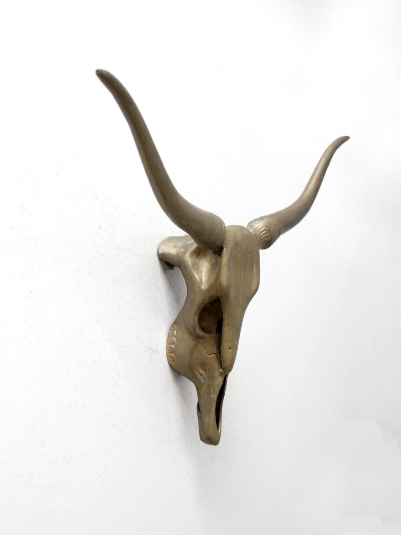 vintage brass longhorn wall mount