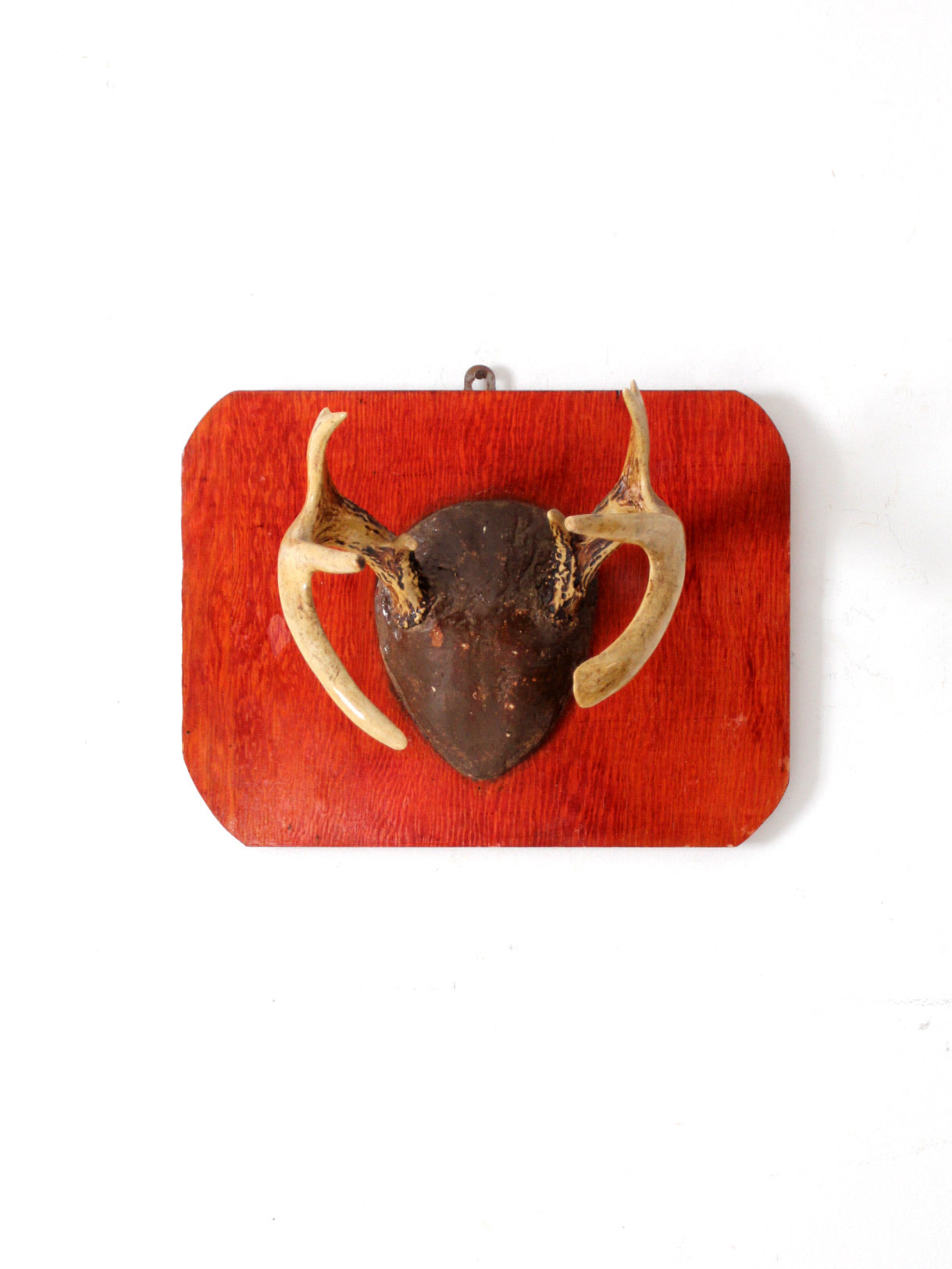 vintage deer antler wall mount