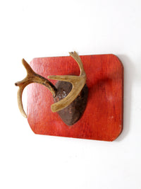 vintage deer antler wall mount