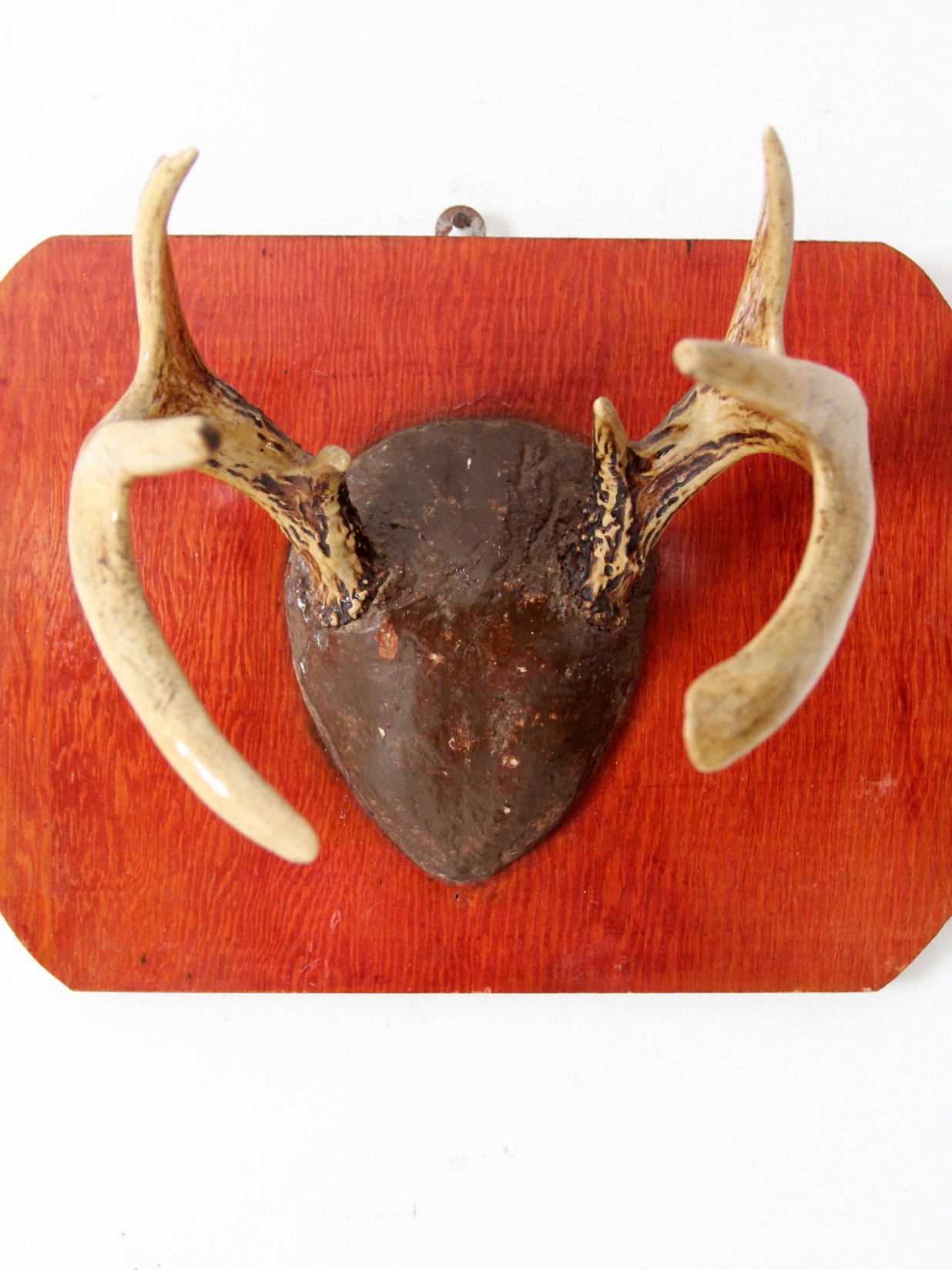 vintage deer antler wall mount