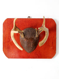 vintage deer antler wall mount