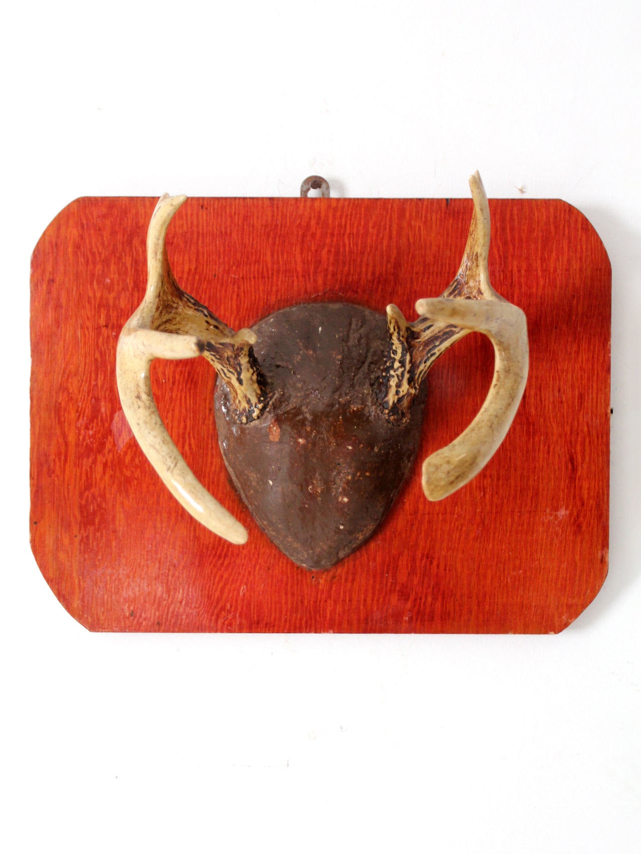 vintage deer antler wall mount