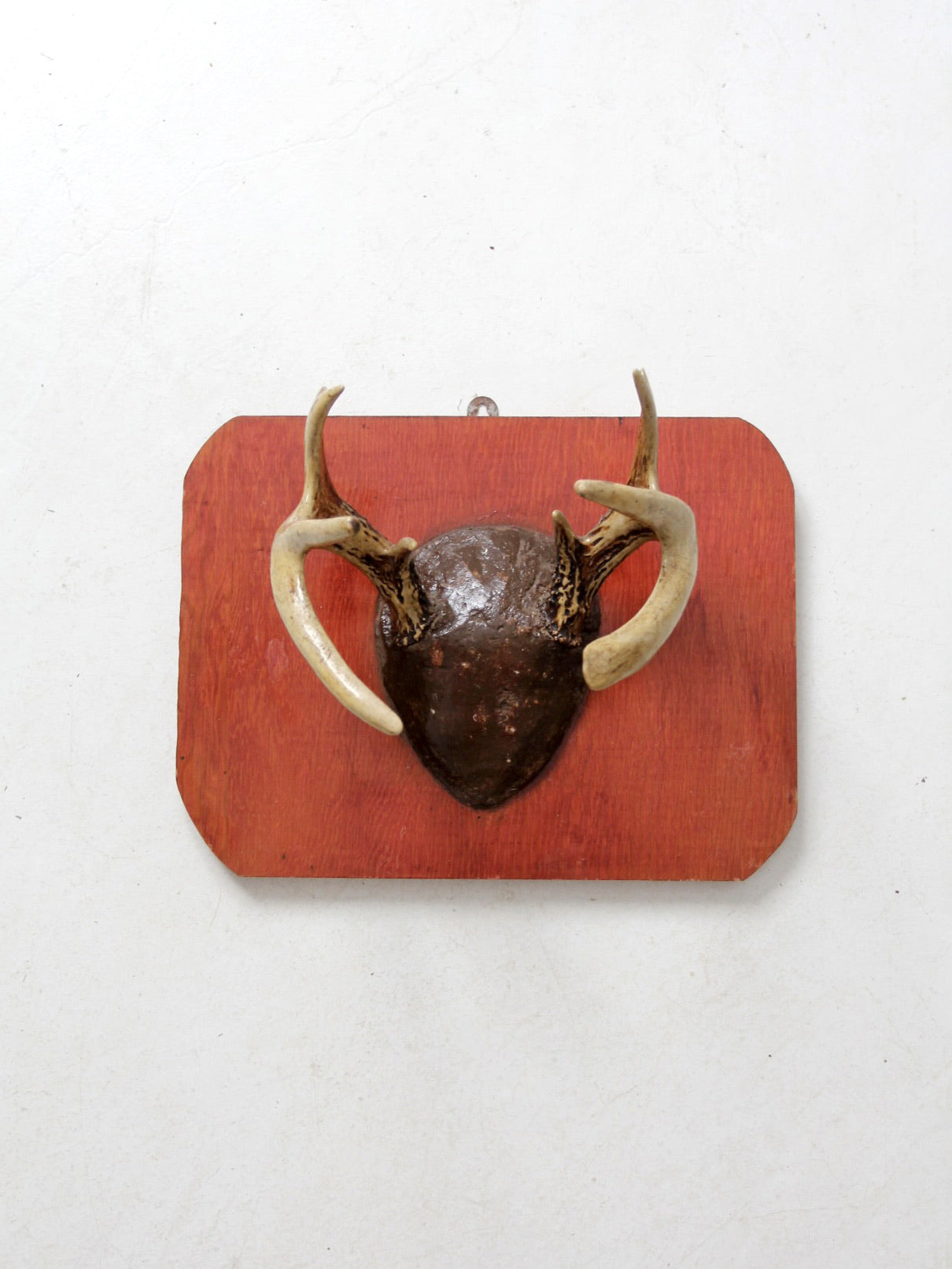vintage deer antler wall mount
