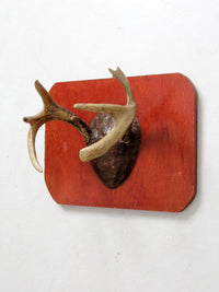 vintage deer antler wall mount