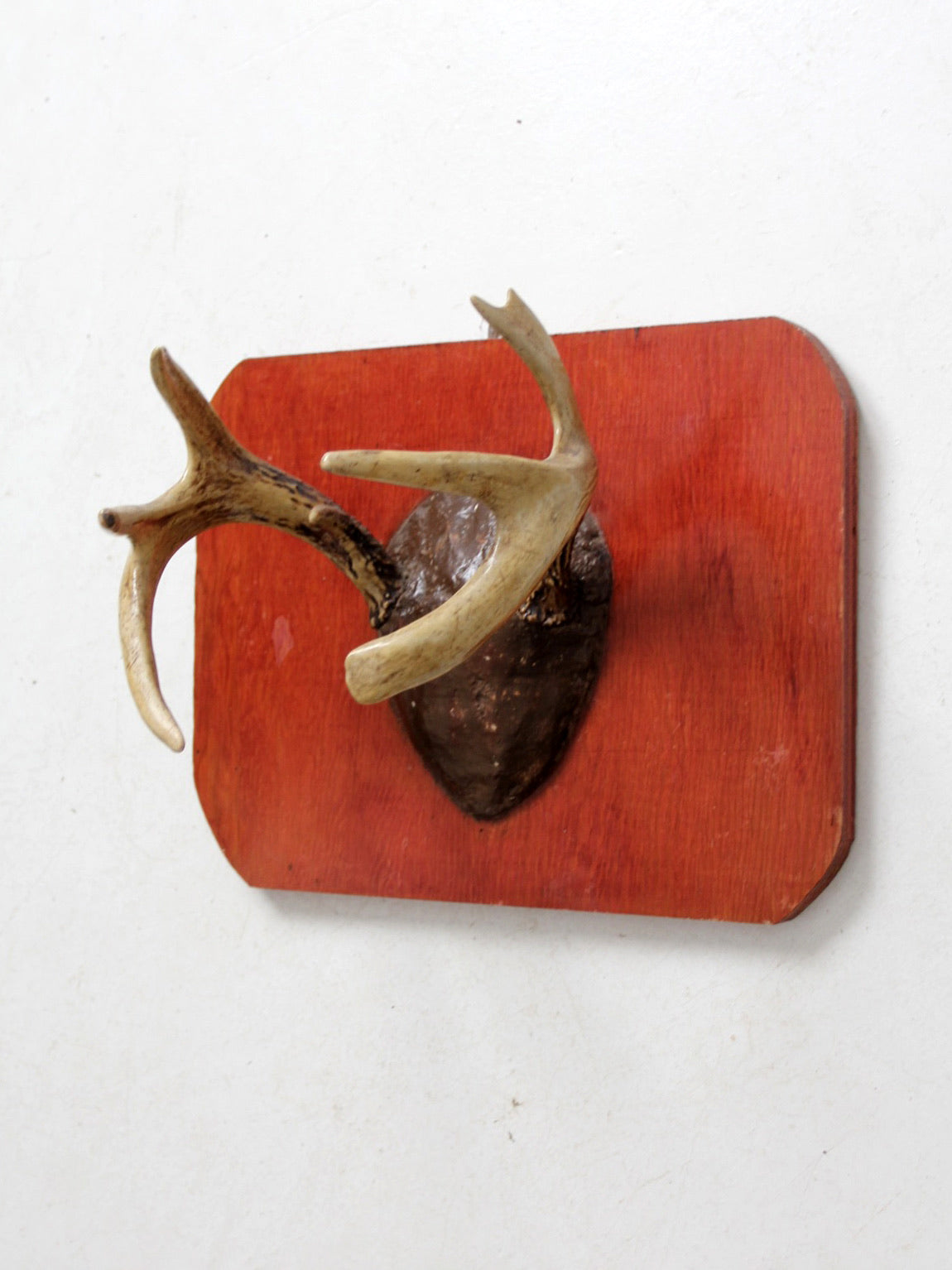vintage deer antler wall mount