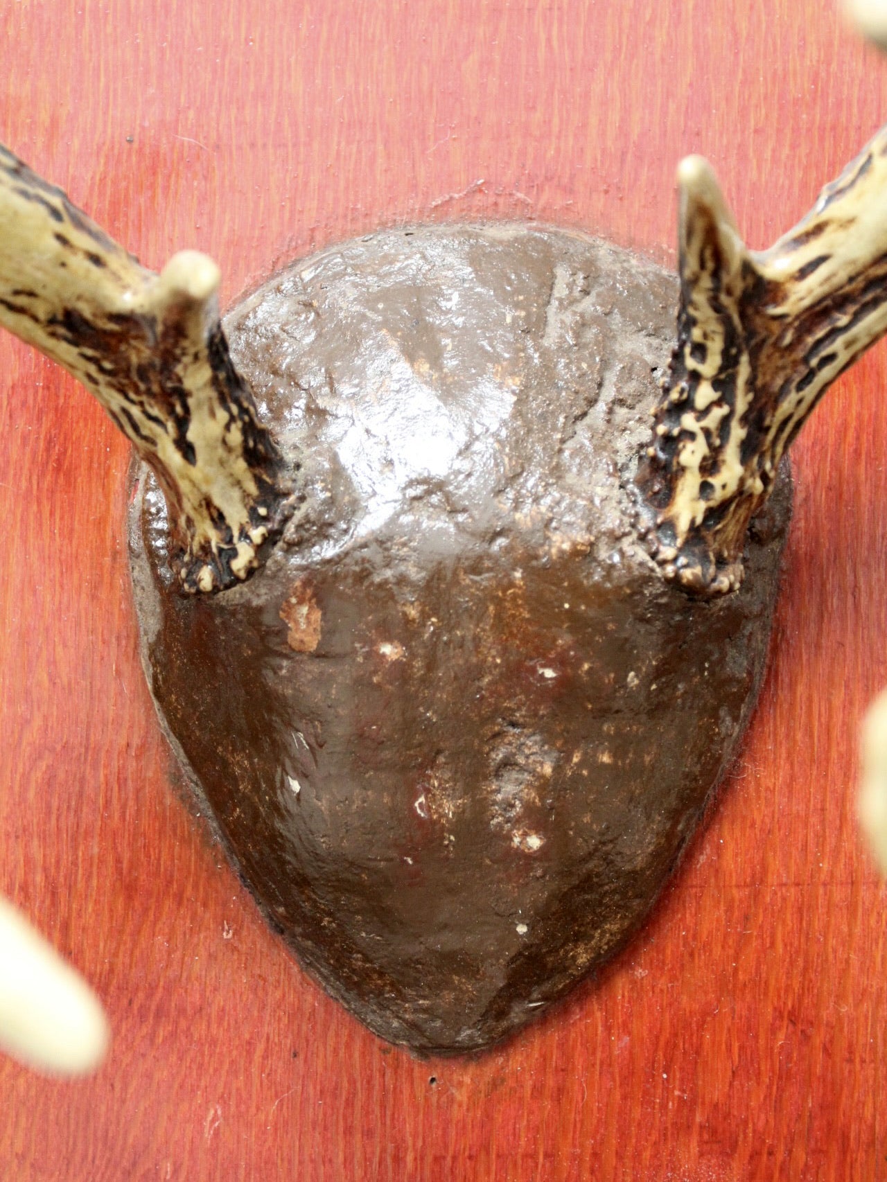 vintage deer antler wall mount