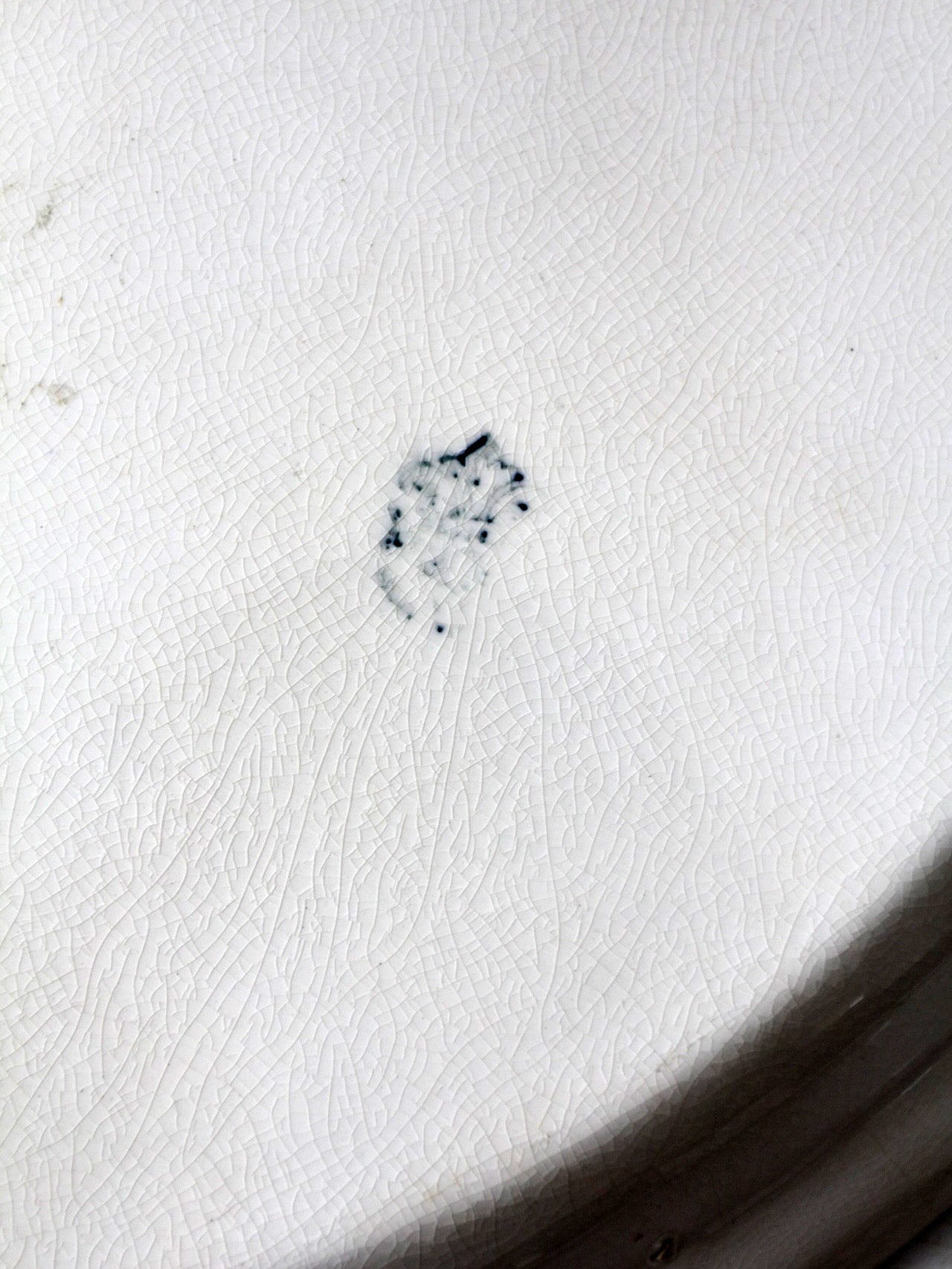 antique La Française bluebird platter