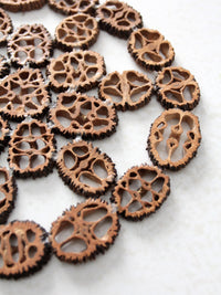 antique walnut slice nut house and tray