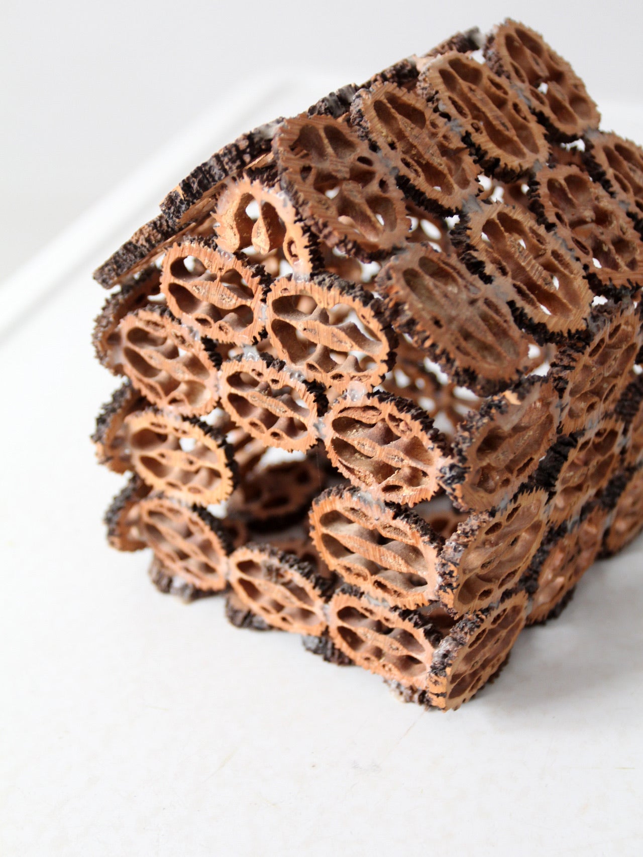 antique walnut slice nut house and tray