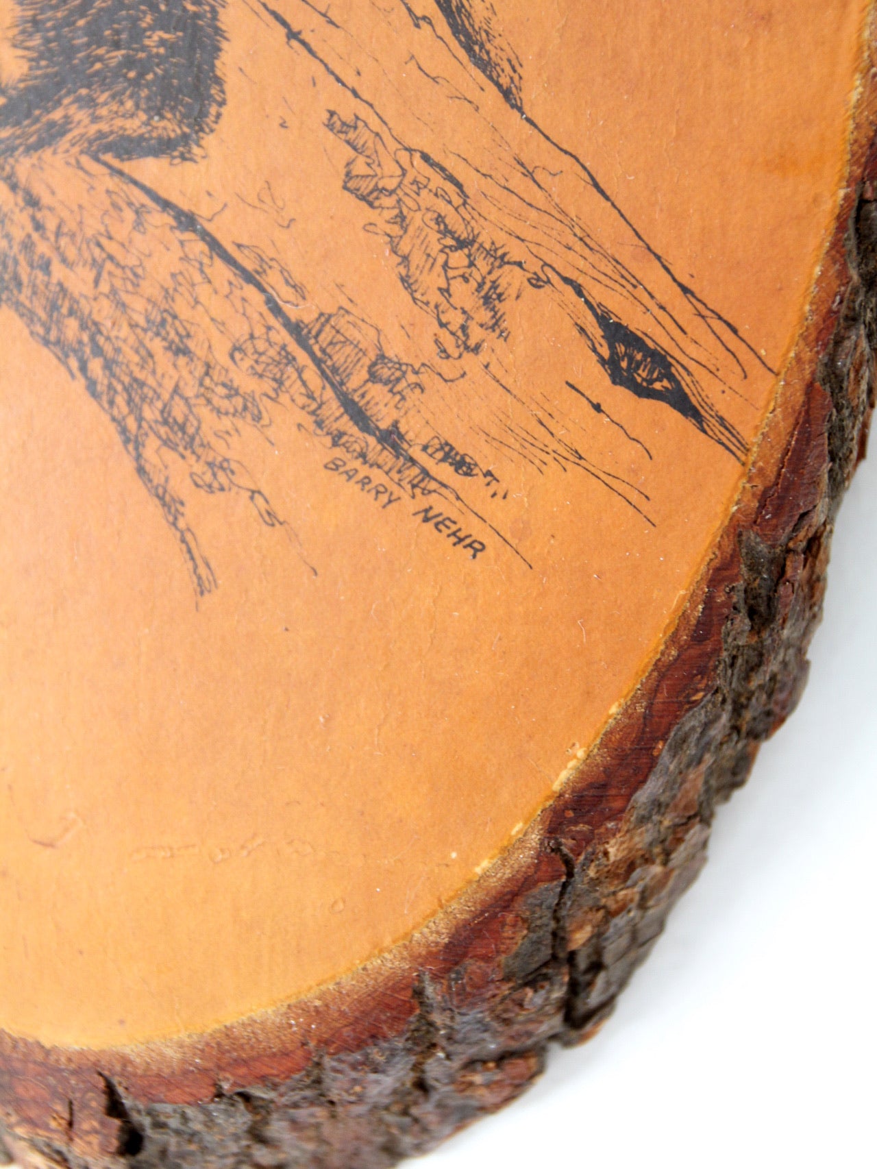 vintage Barry Nehr bear cub wood slice wall hanging