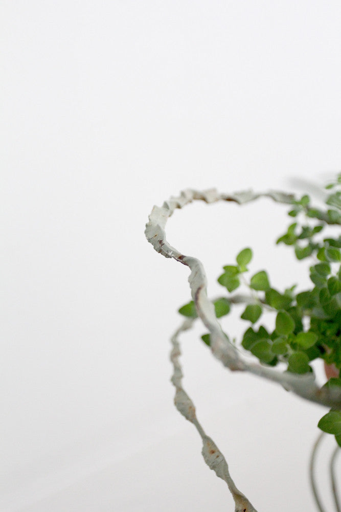 antique plant stand display riser