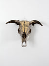 vintage bull skull with artwork